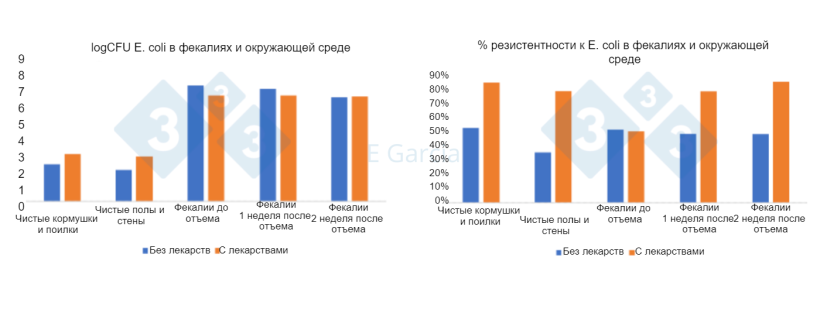 Фото 2. Уровни E. coli и процент устойчивости на фермах, использующих или не использующих антибиотики и оксид цинка в корме.